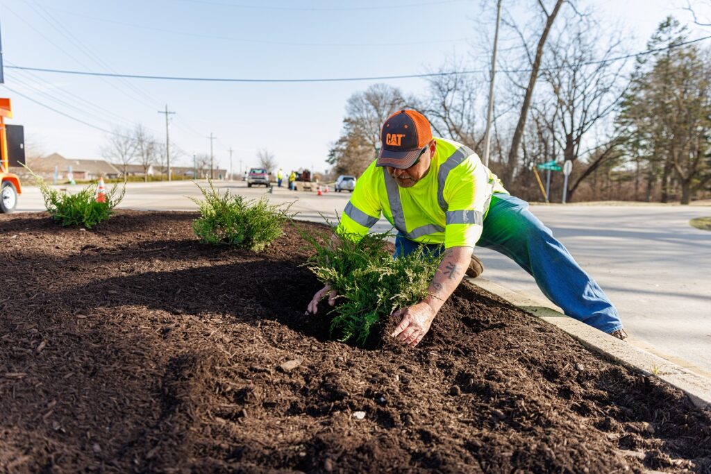 DPW WORKER PLANTING IN MEDIAN