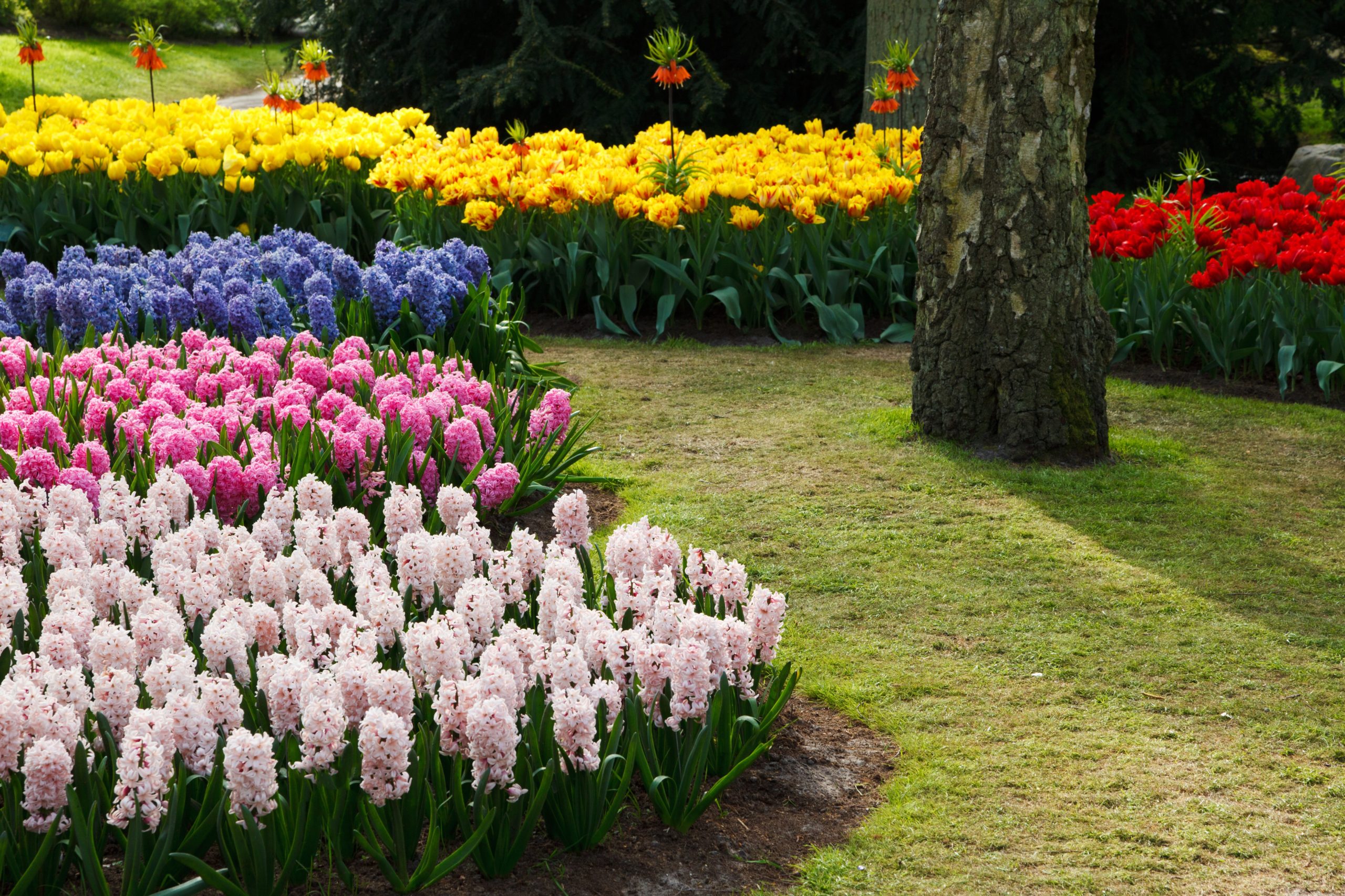 National Garden Week: Advice from Gardening Experts