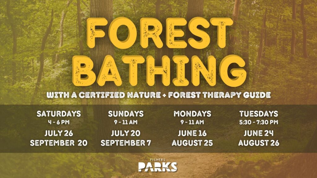 Forest-Bathing-1920x1080-summer-2025