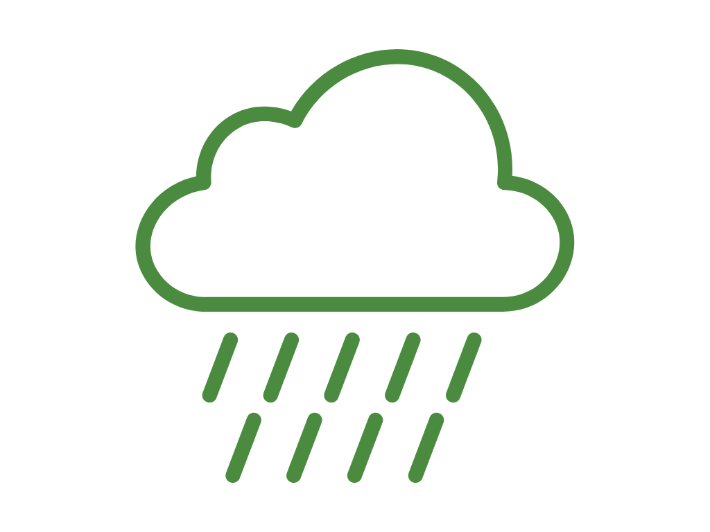 Green outlined cloud with multiple rain lines indicating rain.