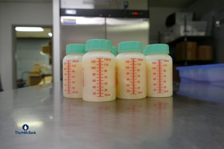 milk in bottles